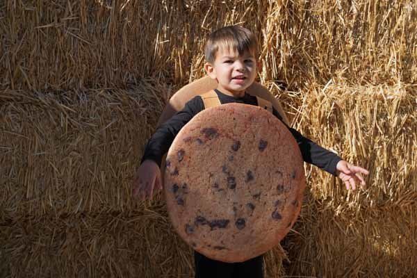 A young boy in a cookie costume is standing in front of hay bales