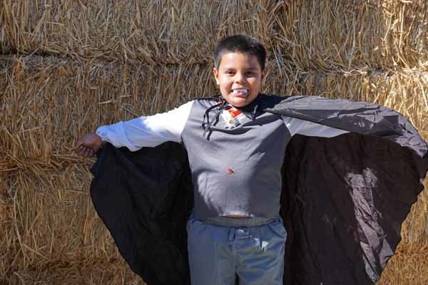 A young boy in a vampire costume is standing in front of a hay bale.