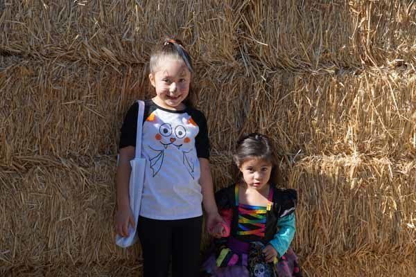 Two little girls are standing next to each other in front of a hay bale.