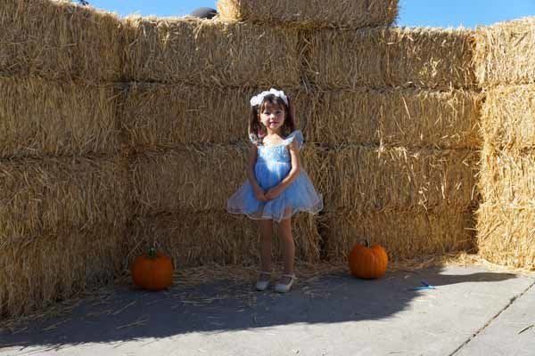 A little girl in a blue dress is standing next to hay bales and pumpkins.