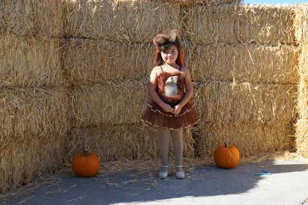 A little girl in a squirrel costume is standing next to hay bales and pumpkins.