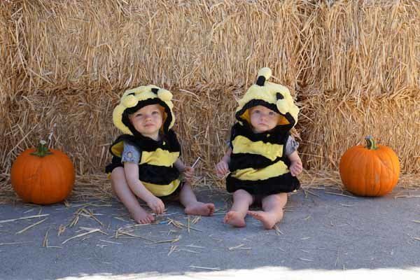 Two babies dressed in bee costumes are sitting next to pumpkins.