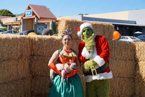 A man dressed as santa claus and a woman dressed as the grinch are posing for a picture.