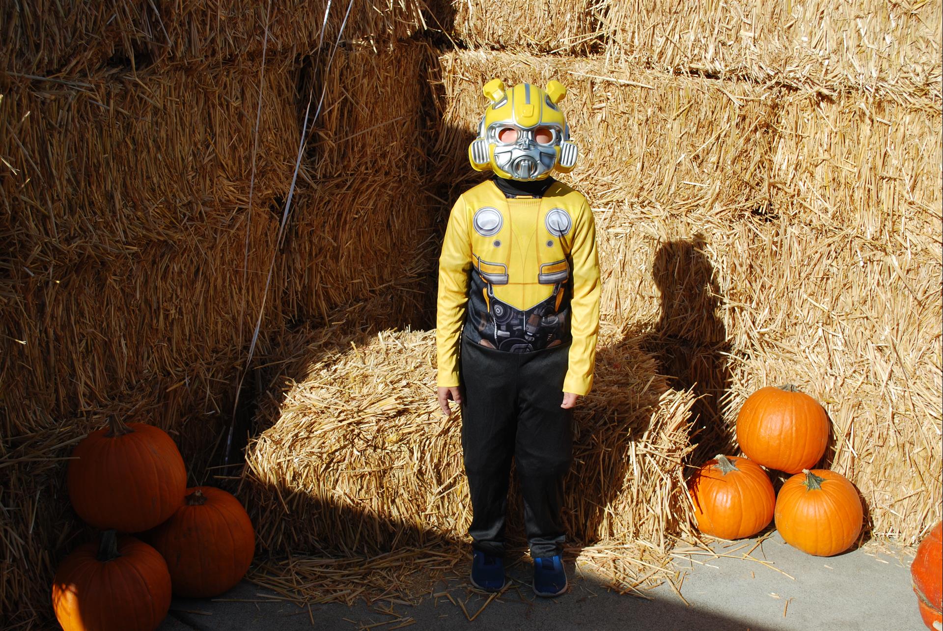 A boy in a bumblebee costume is standing in front of hay bales and pumpkins.