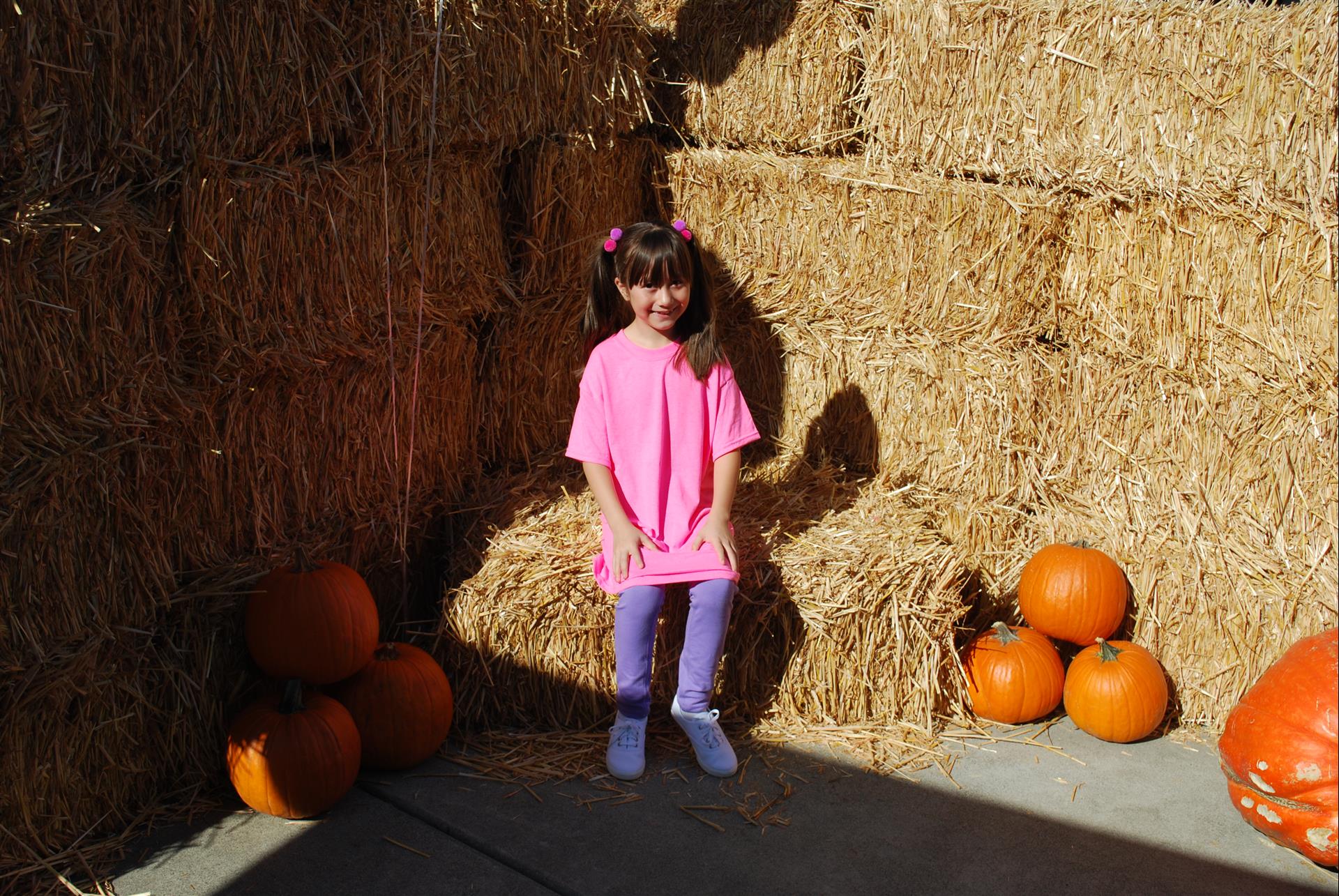 A little girl in a pink shirt is standing next to hay bales and pumpkins
