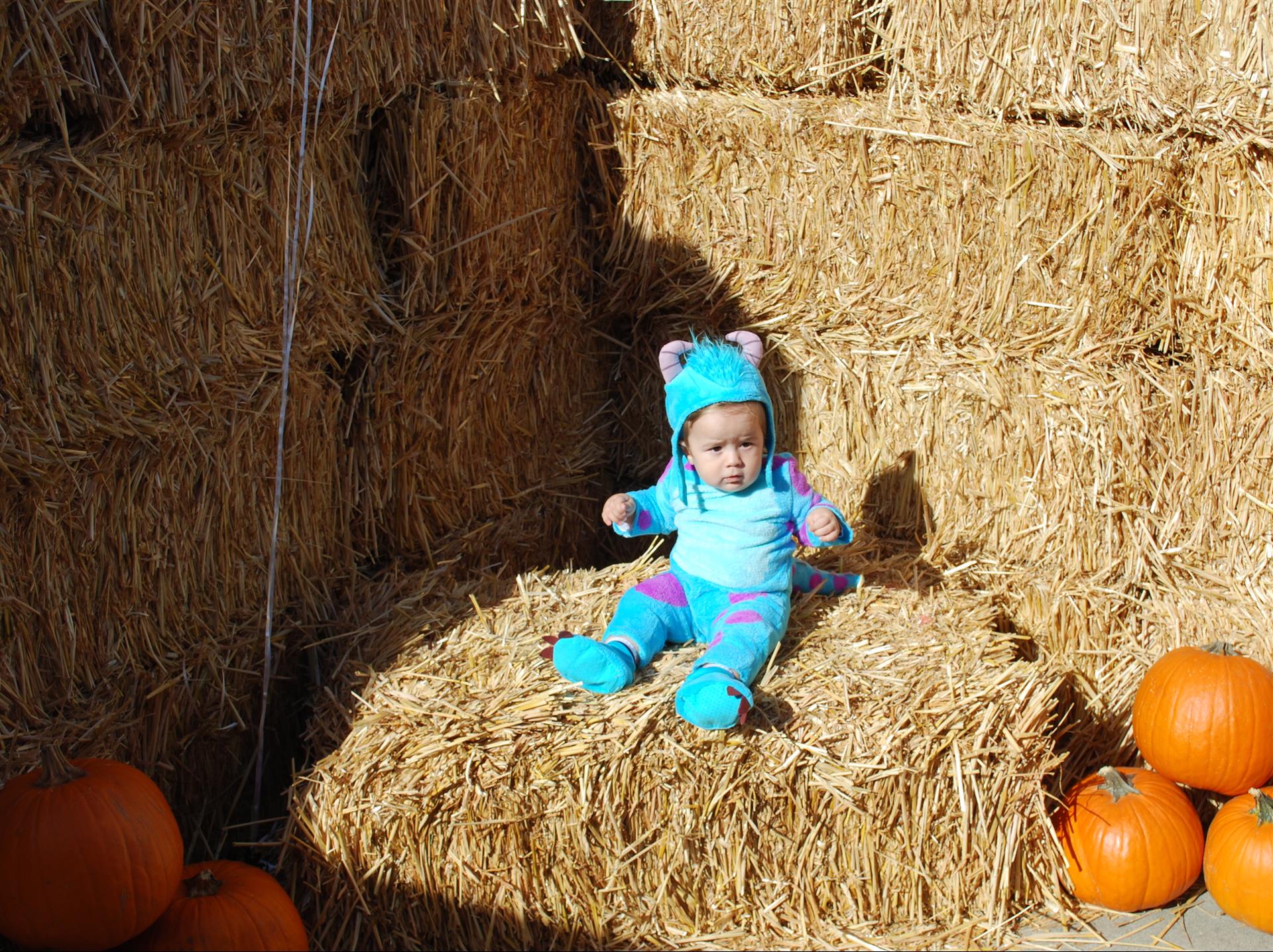 A baby in a sulley costume is sitting on a bale of hay.