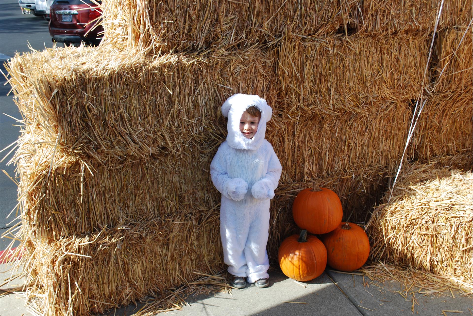 A child in a polar bear costume is standing next to hay bales and pumpkins