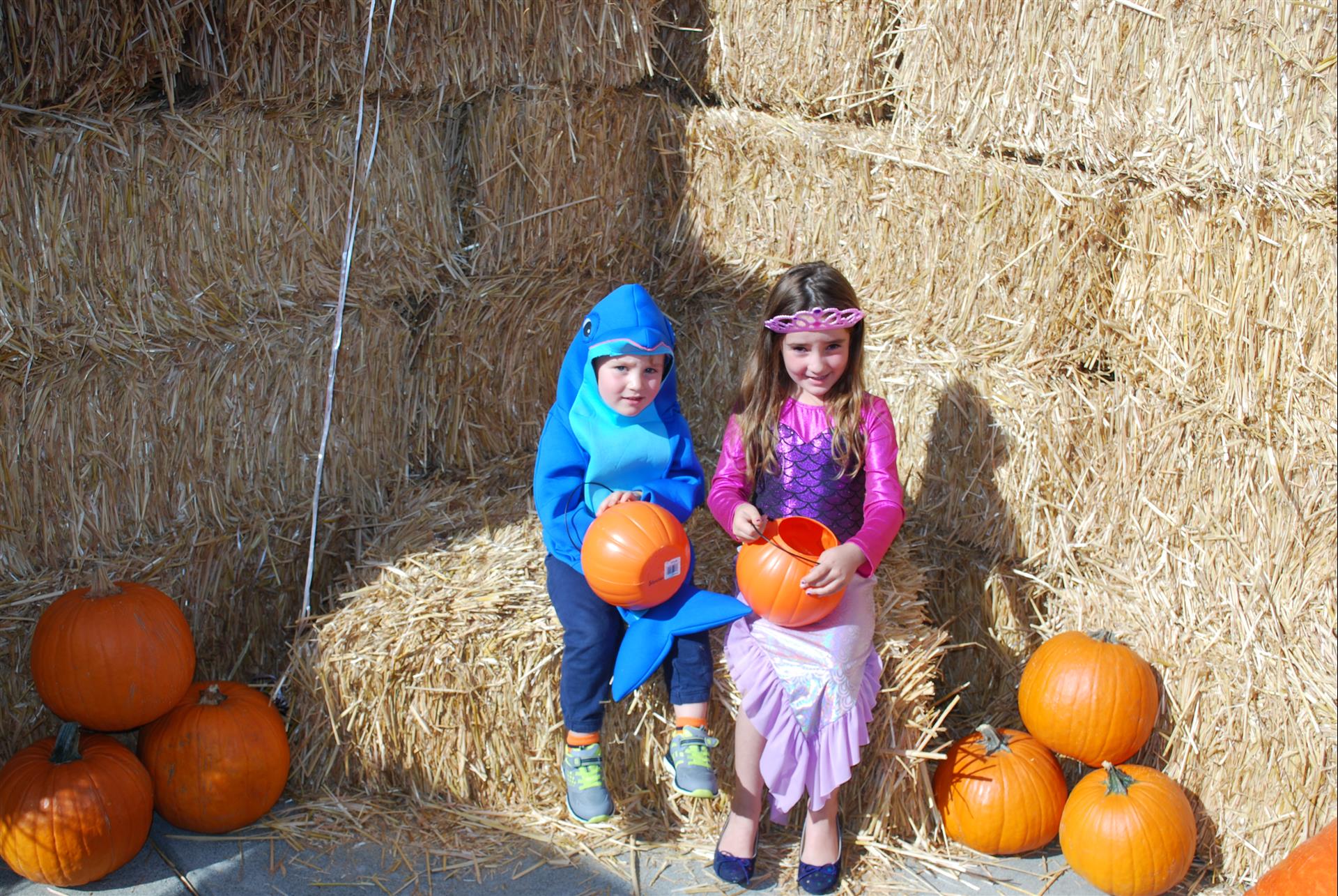 A boy and a girl are sitting on hay bales holding pumpkins.