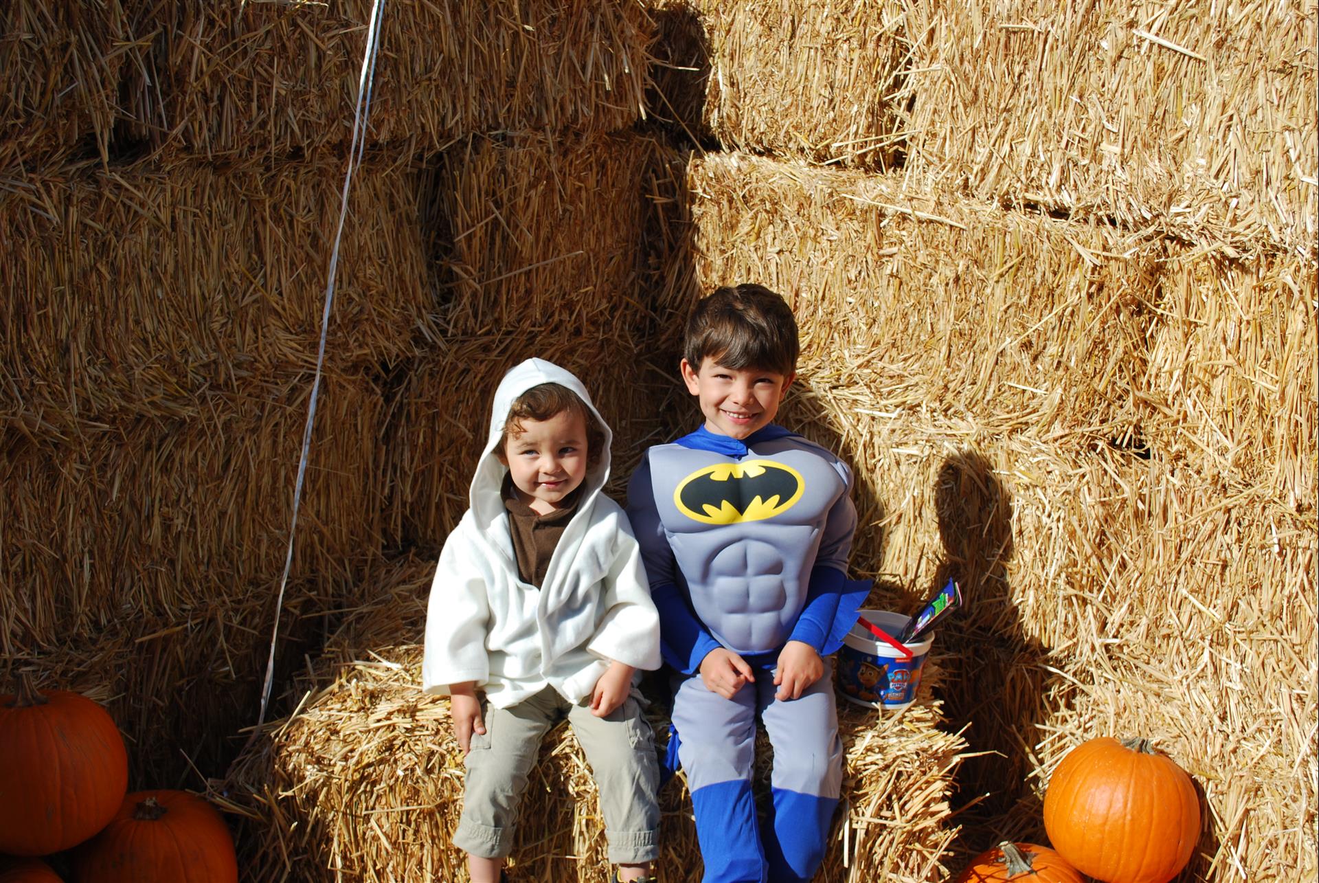 Two children dressed as batman and superman are sitting on hay bales.