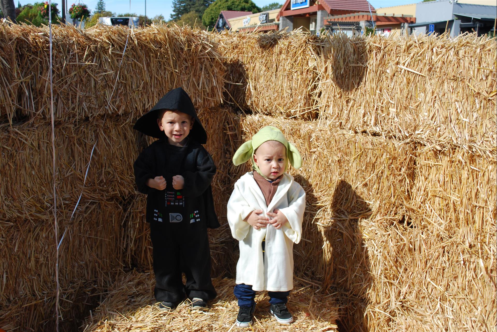 Two little boys dressed up as yoda and darth vader are standing next to hay bales.