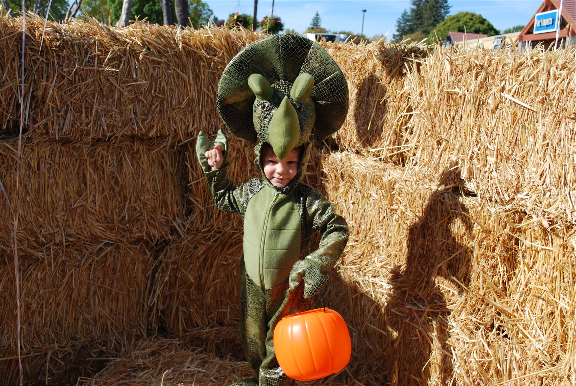 A child in a dinosaur costume is holding an orange pumpkin.