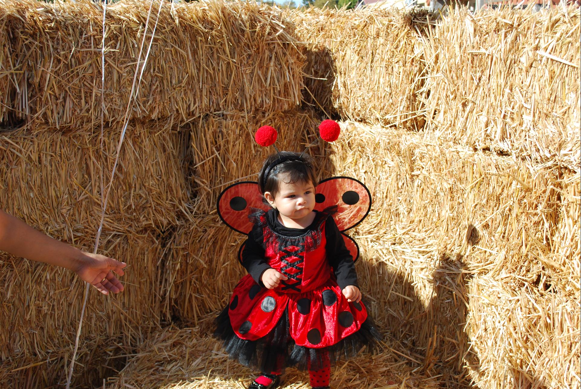 A little girl in a ladybug costume is sitting in a pile of hay.