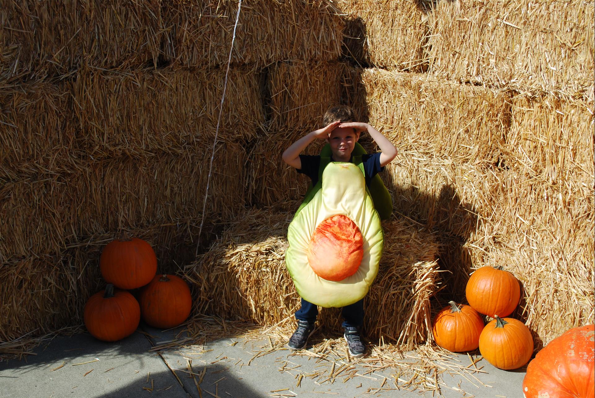 A boy in an avocado costume is sitting on hay bales surrounded by pumpkins