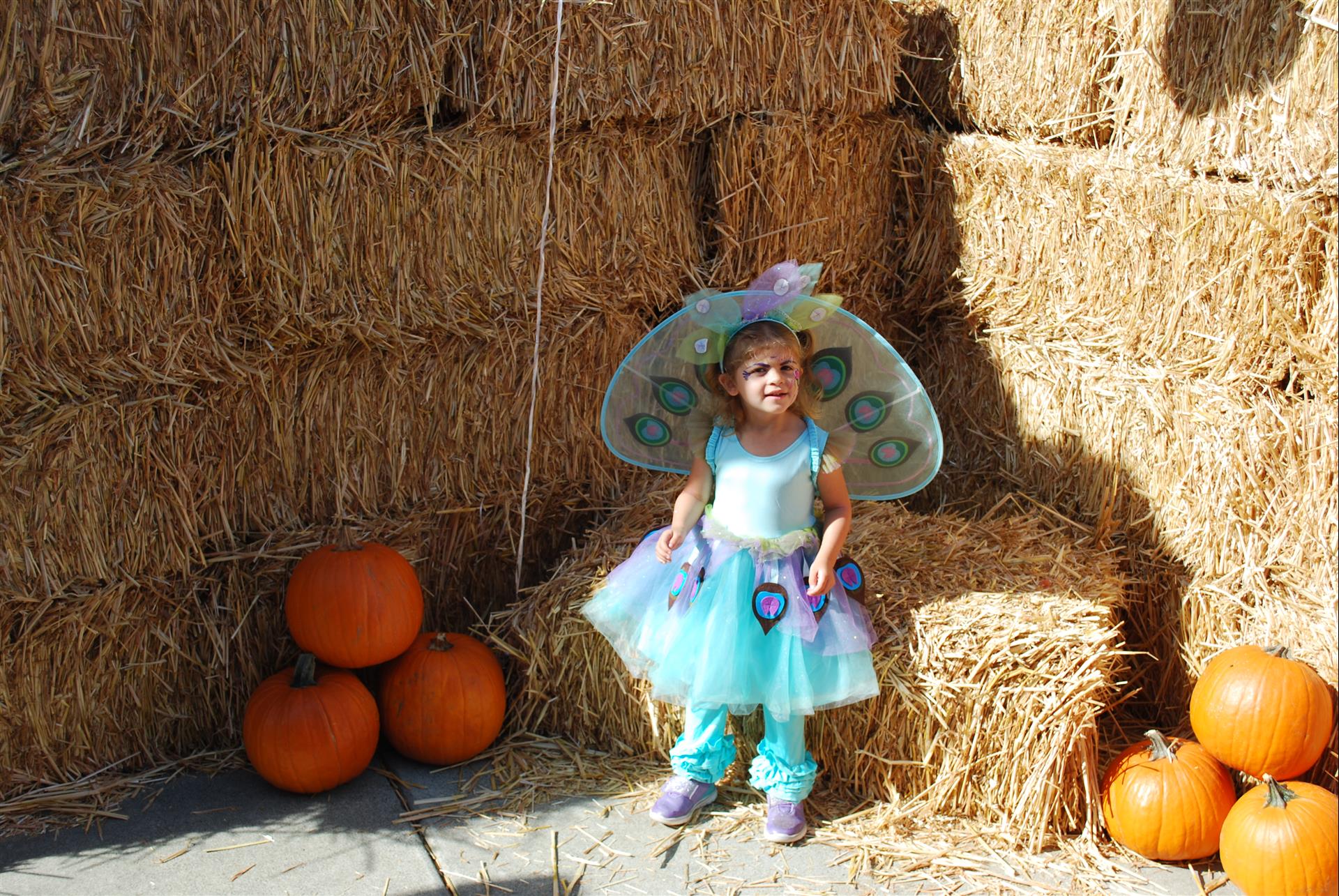 A little girl in a peacock costume is sitting on hay bales surrounded by pumpkins.