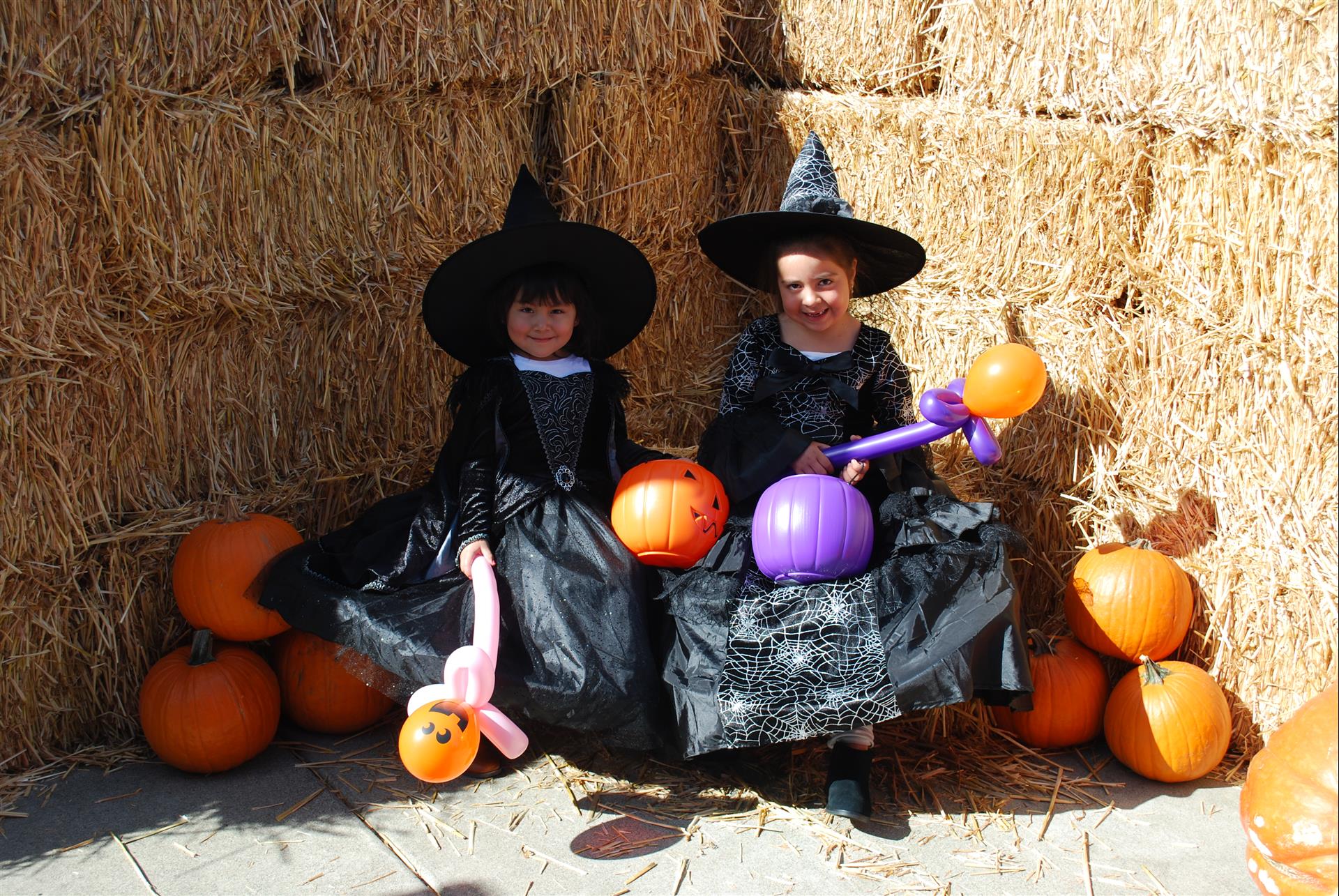 Two little girls dressed as witches are sitting next to pumpkins