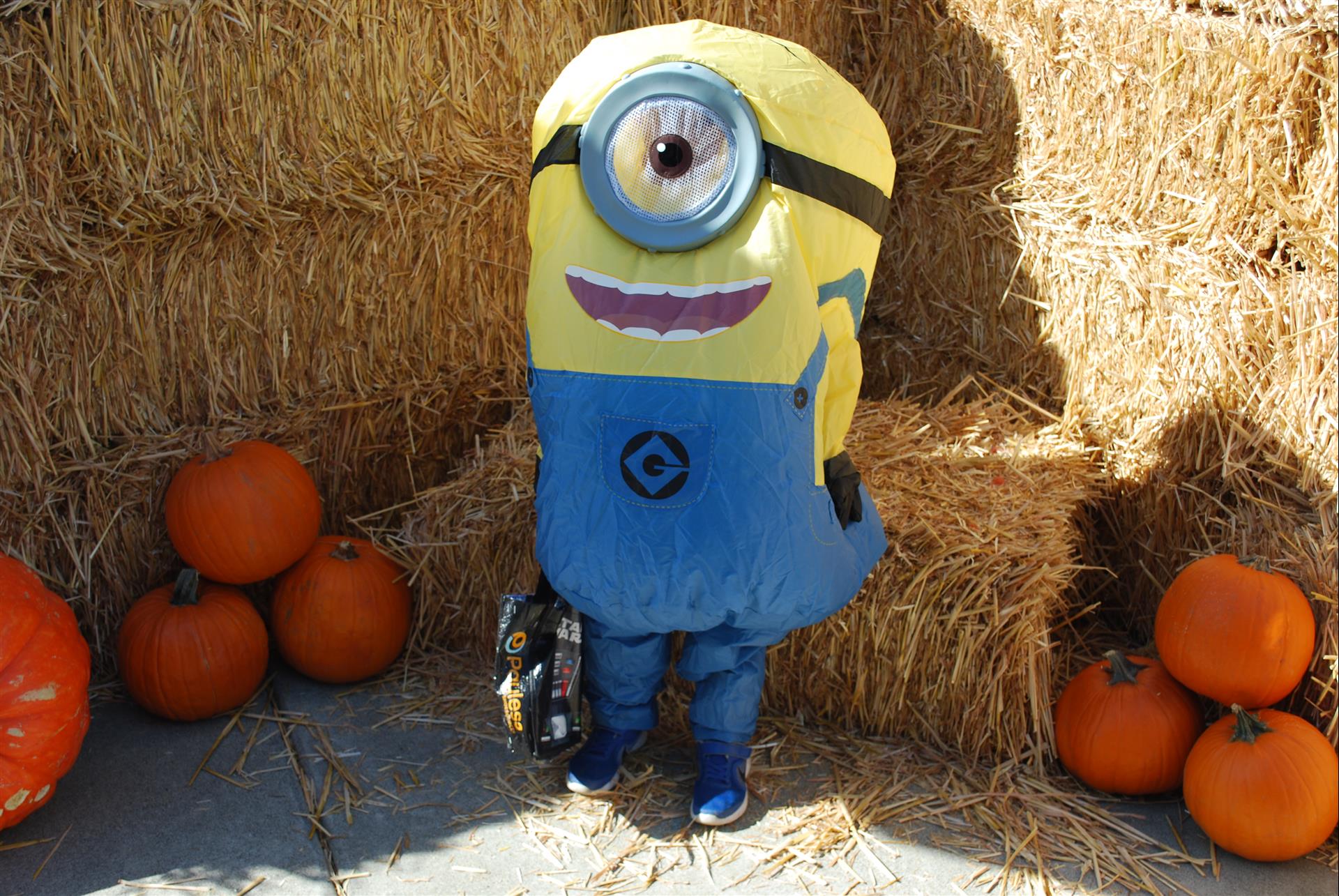 A child in a minion costume is standing in front of hay bales and pumpkins.