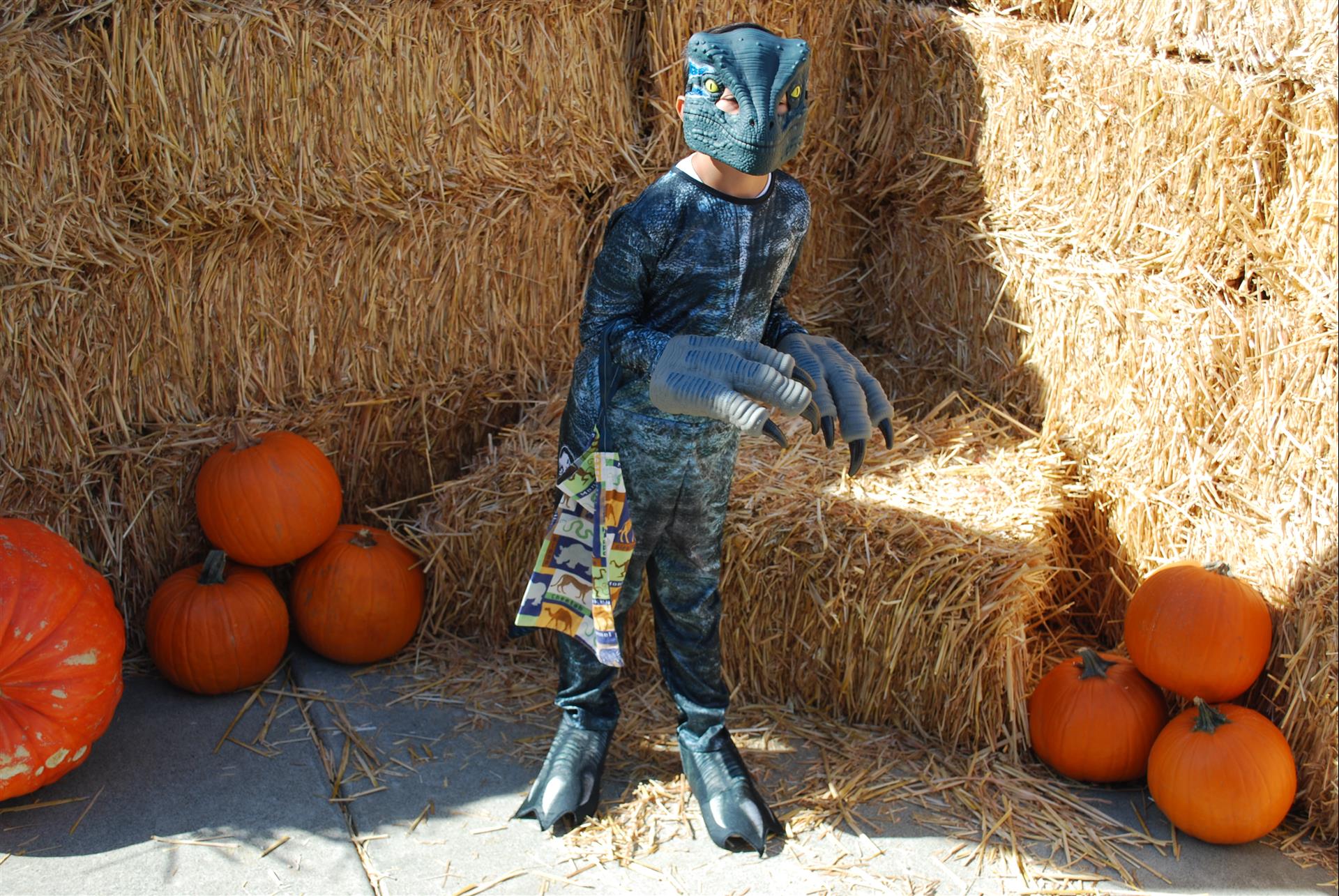 A child in a dinosaur costume is standing in front of hay bales and pumpkins.