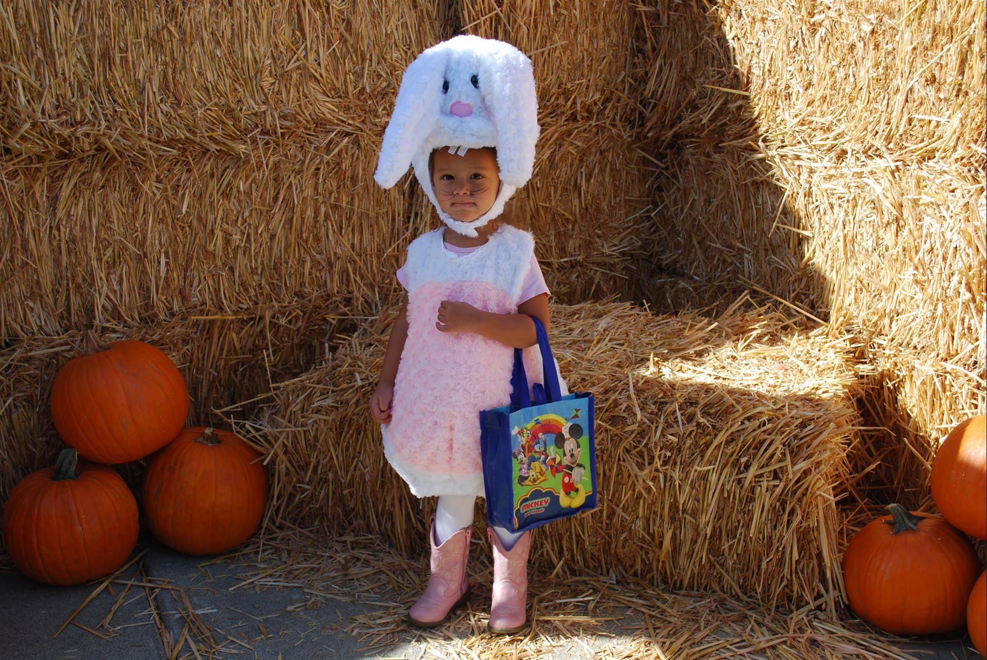 A little girl in a bunny costume is holding a candy bag