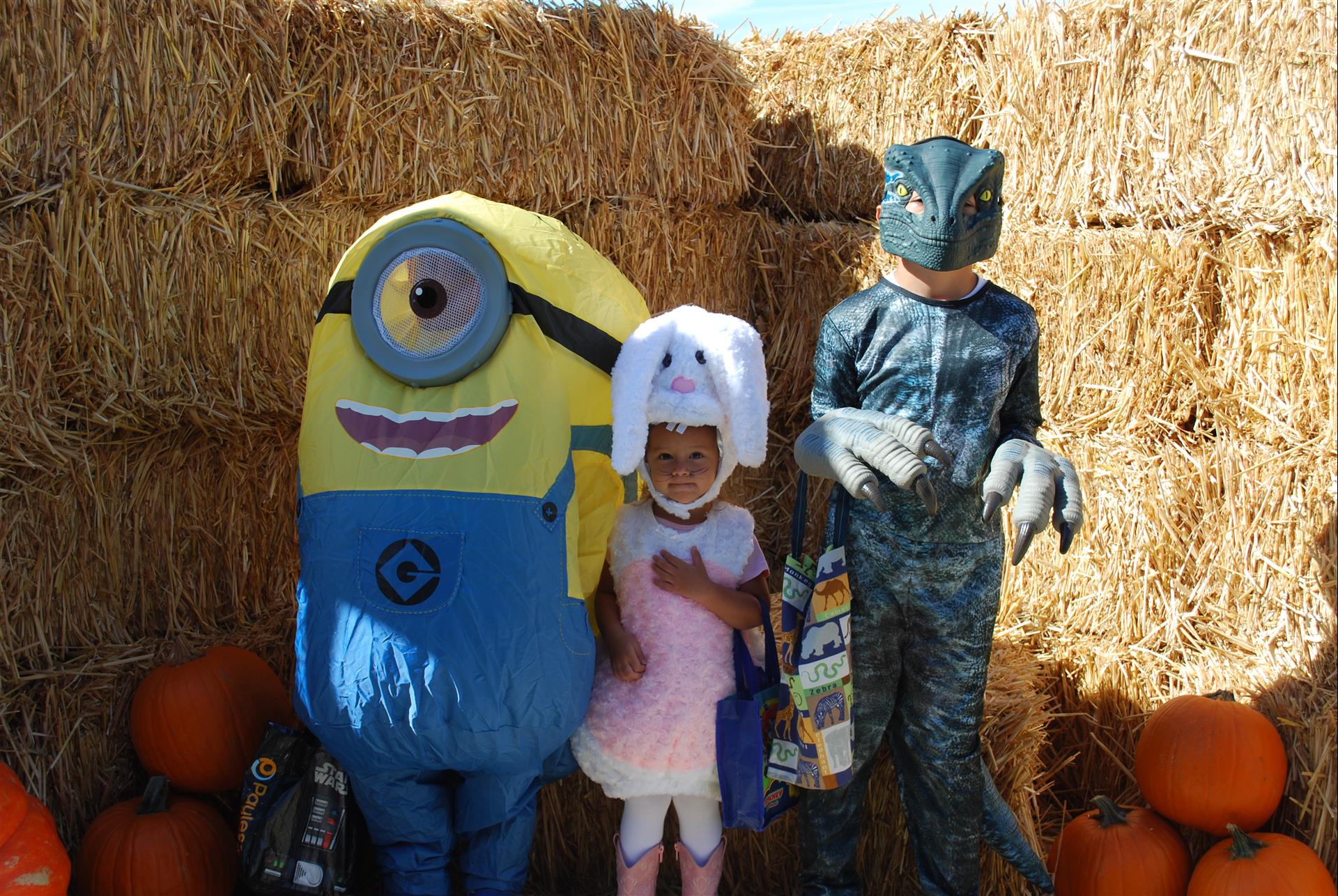 A group of children dressed in halloween costumes are posing for a picture.