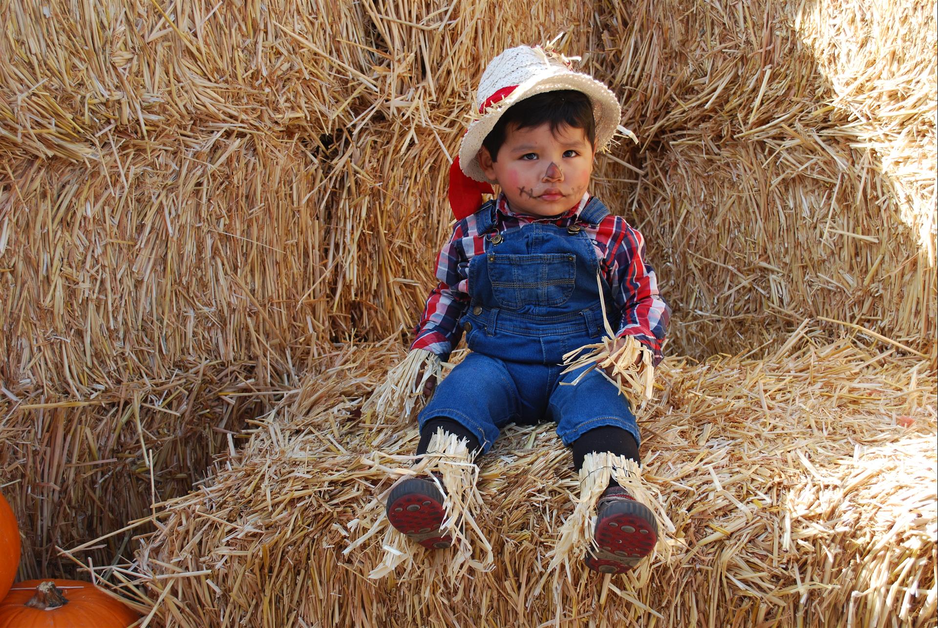 A little boy dressed as a scarecrow is sitting on a bale of hay.