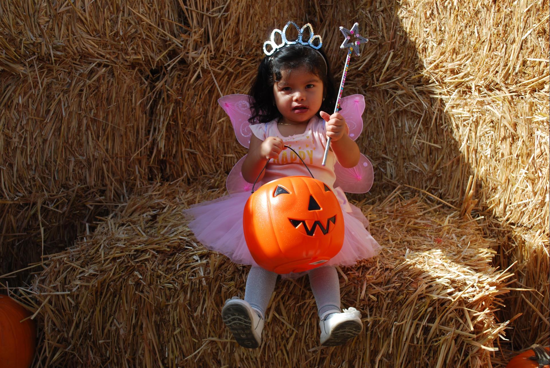 A little girl dressed as a fairy is sitting on a bale of hay holding a pumpkin