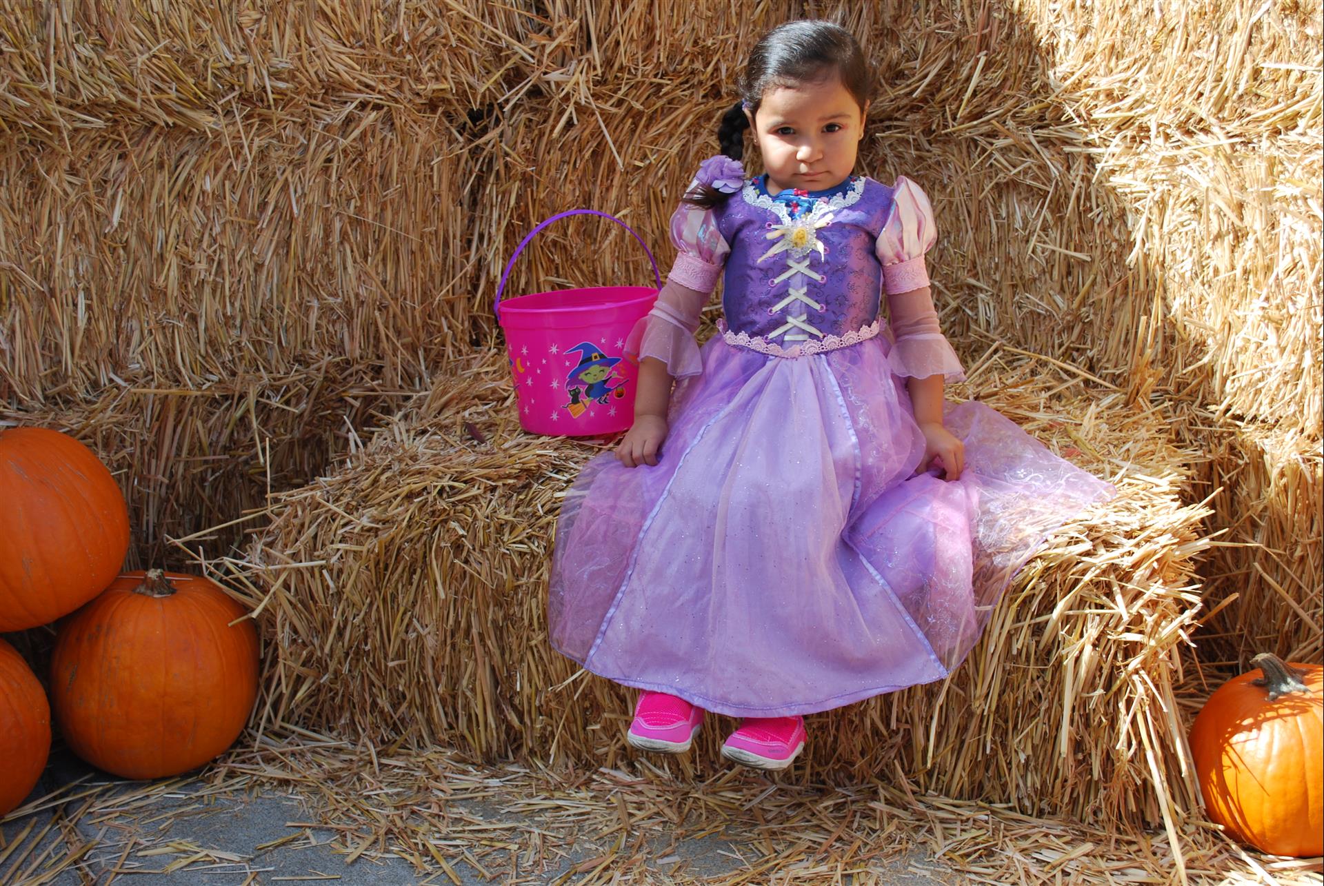 A little girl in a purple dress is sitting on a bale of hay.