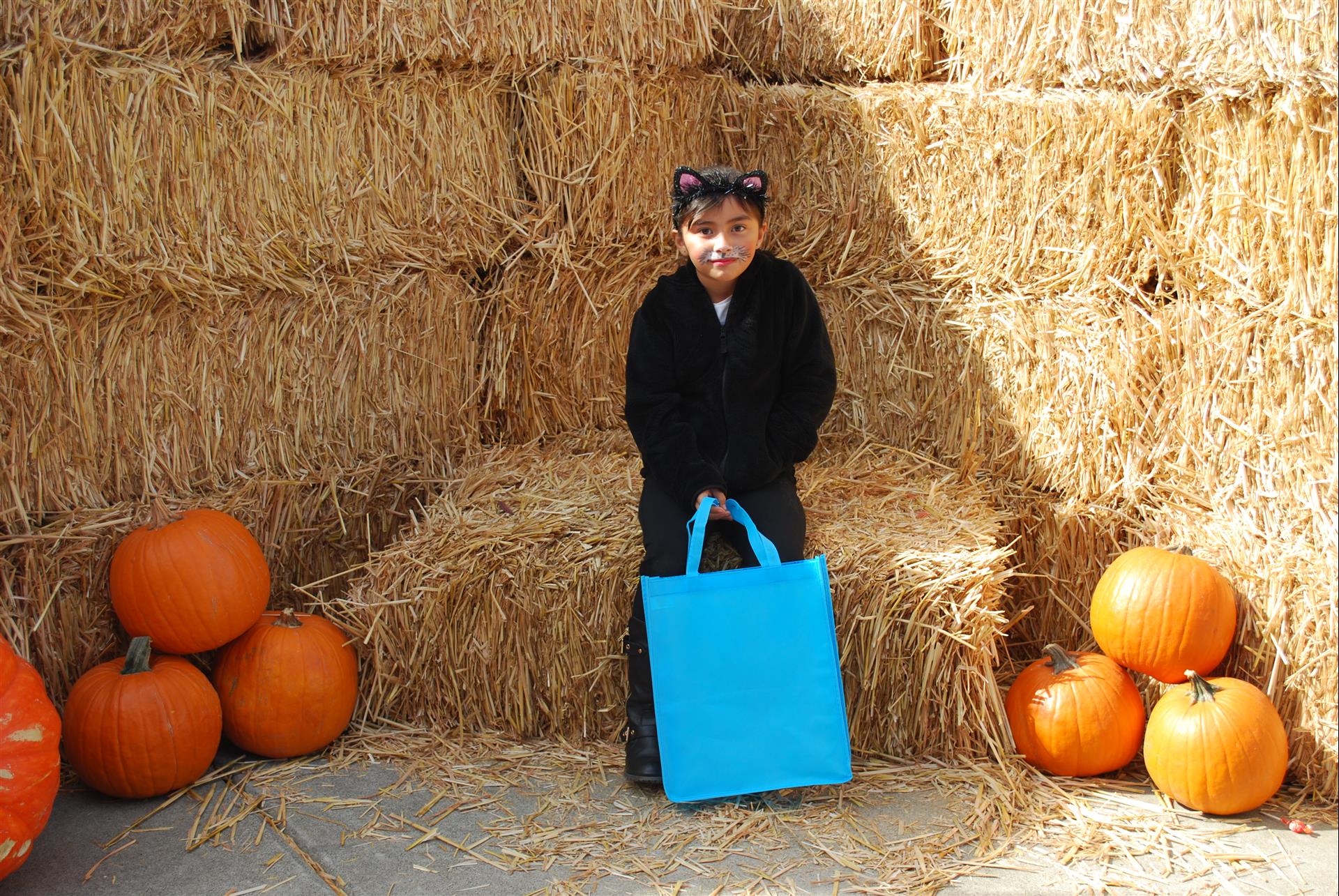 A little girl in a cat costume is sitting on a bale of hay holding a blue bag.