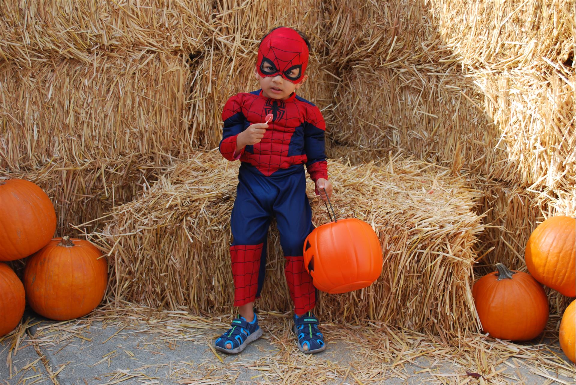 A young boy in a spiderman costume is holding a pumpkin and giving a thumbs up.