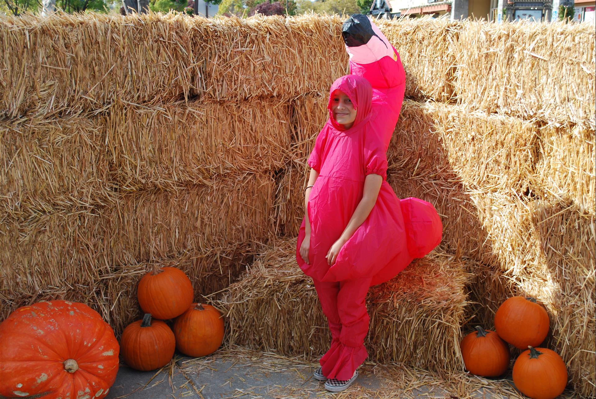 A woman in a flamingo costume is standing in front of hay bales and pumpkins