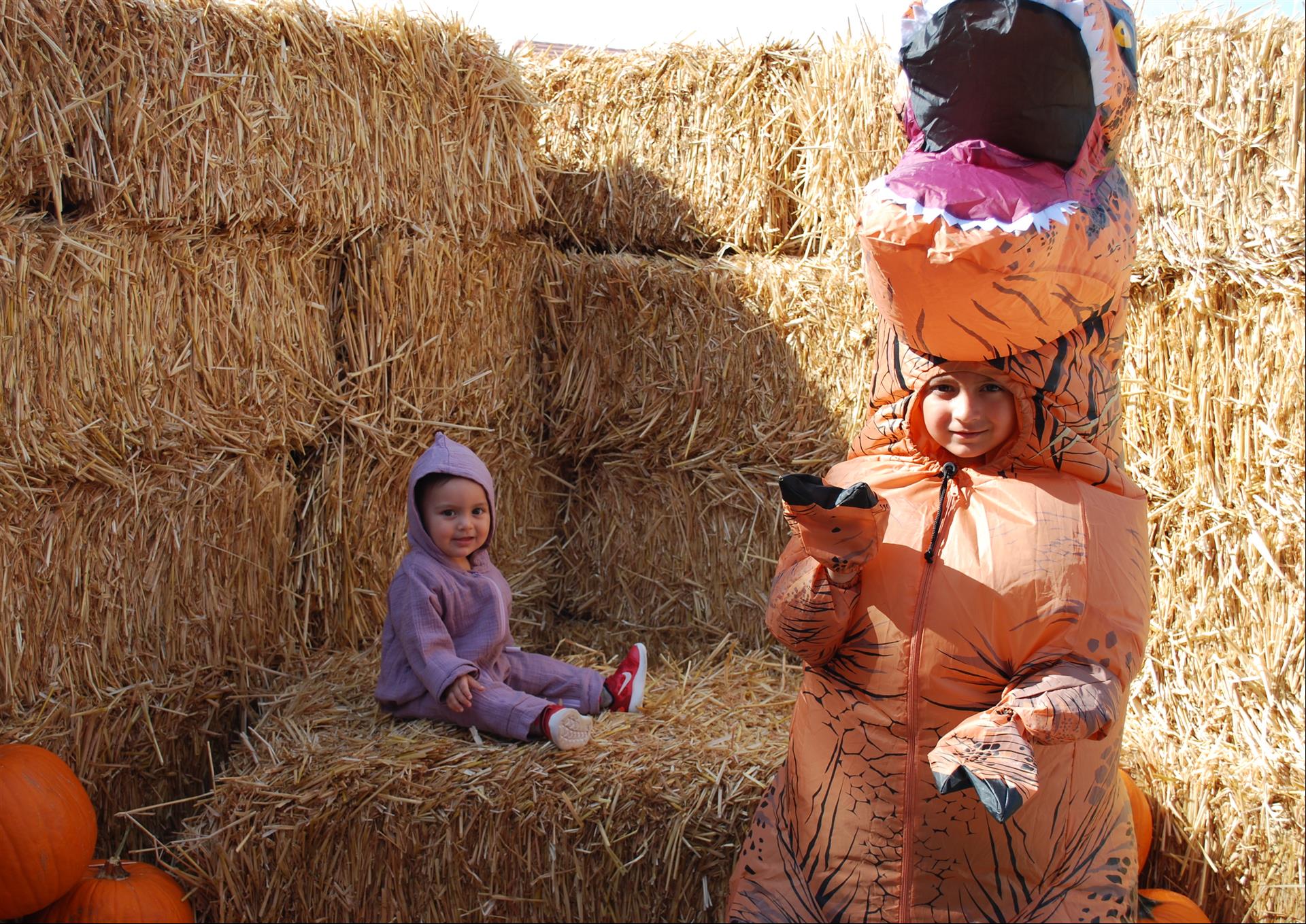 A little girl is sitting on a bale of hay next to a dinosaur costume.