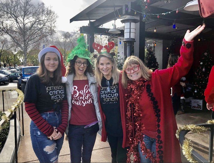 A group of women are posing for a picture in front of a christmas tree.