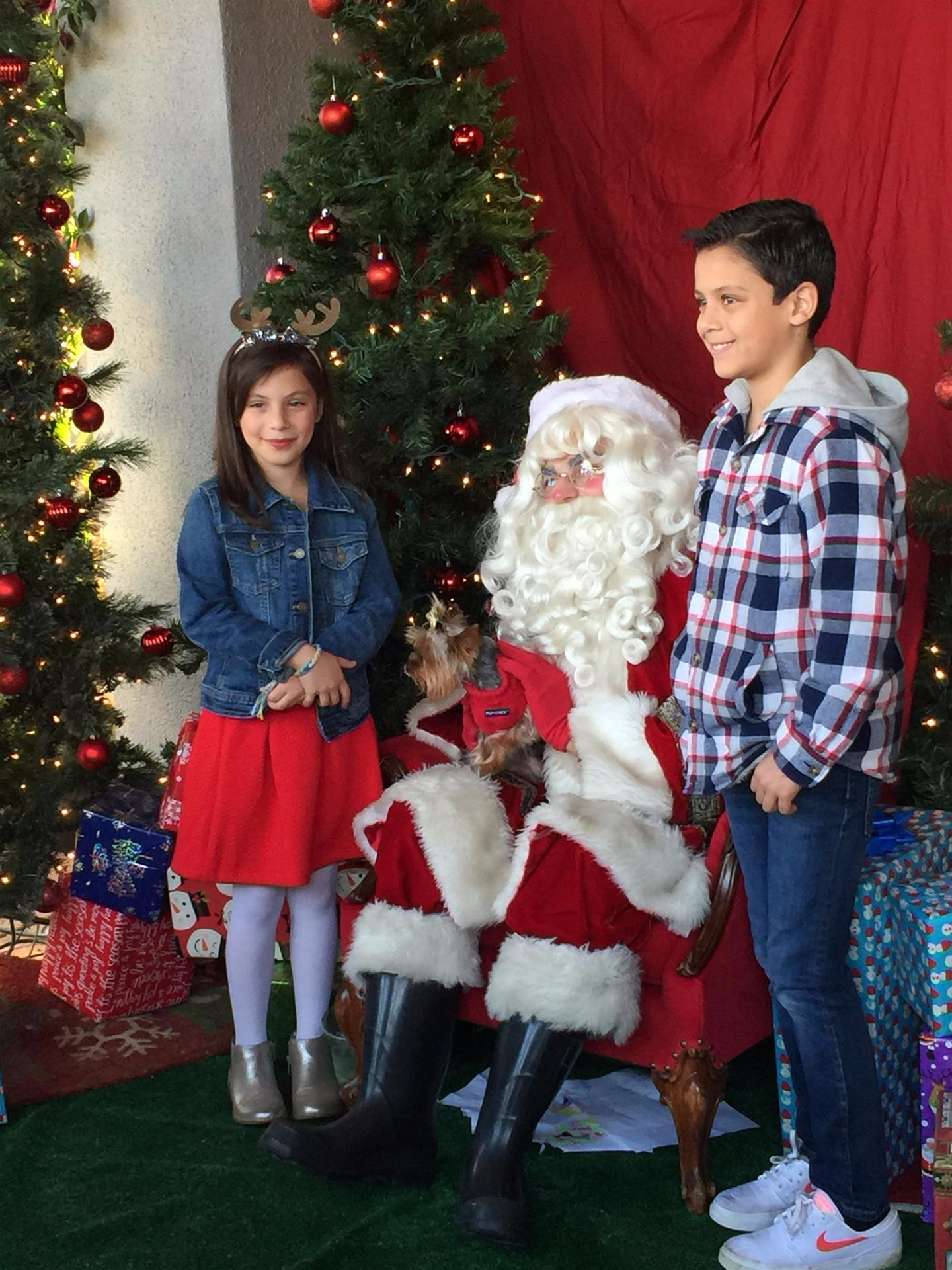 Two children pose for a picture with santa claus in front of a christmas tree