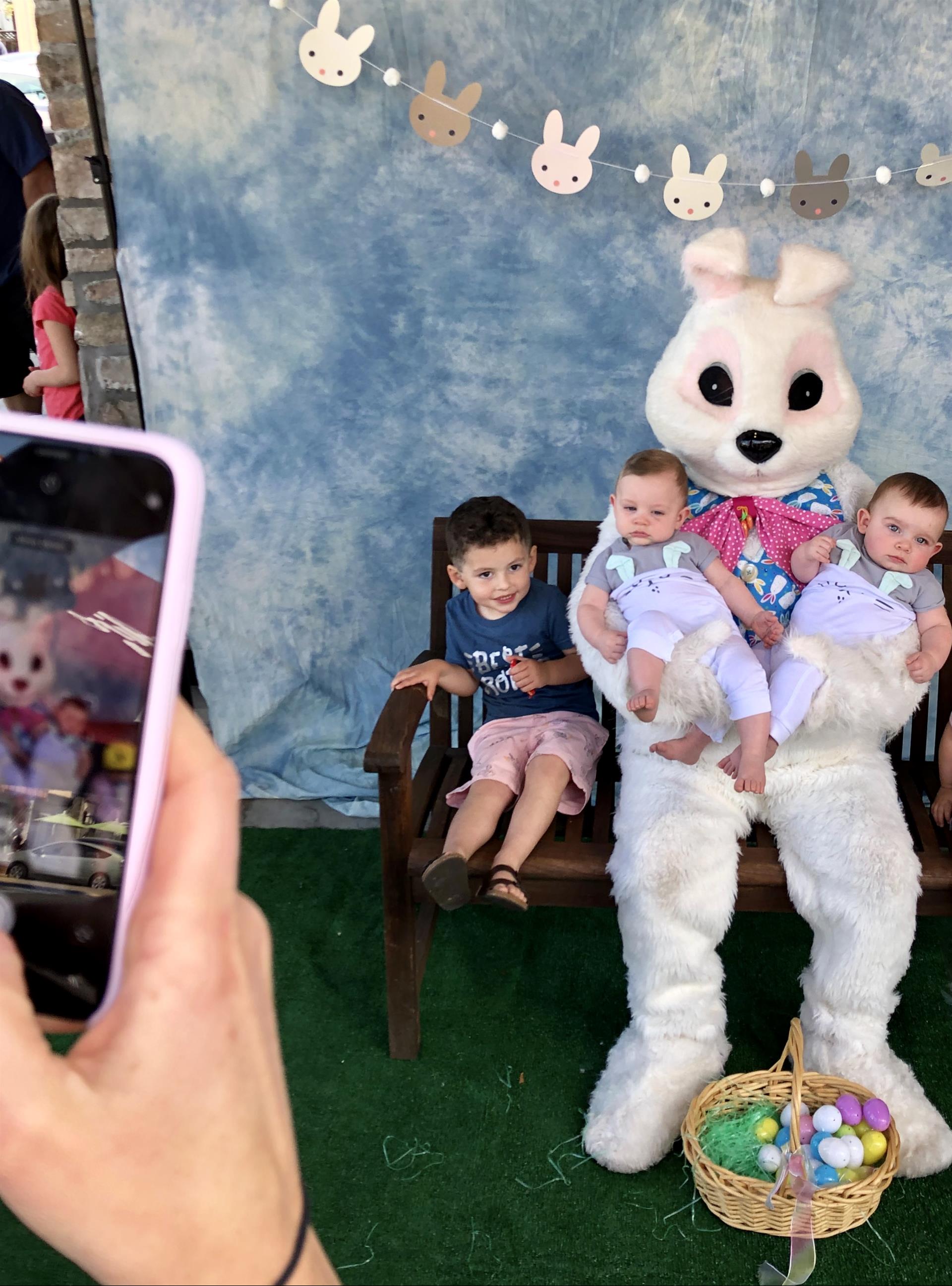 A person is taking a picture of a bunny holding two babies