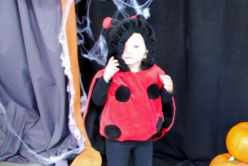 A little girl is dressed in a ladybug costume