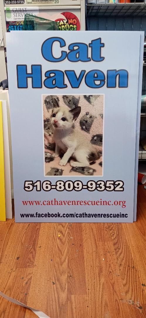 A cat haven sign with a picture of a cat on it.