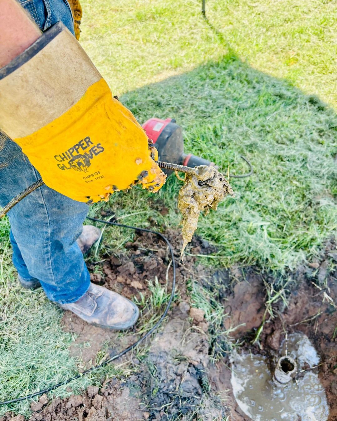 Person with work gloves holding a root-filled pipe, working on a muddy lawn, near a water source.