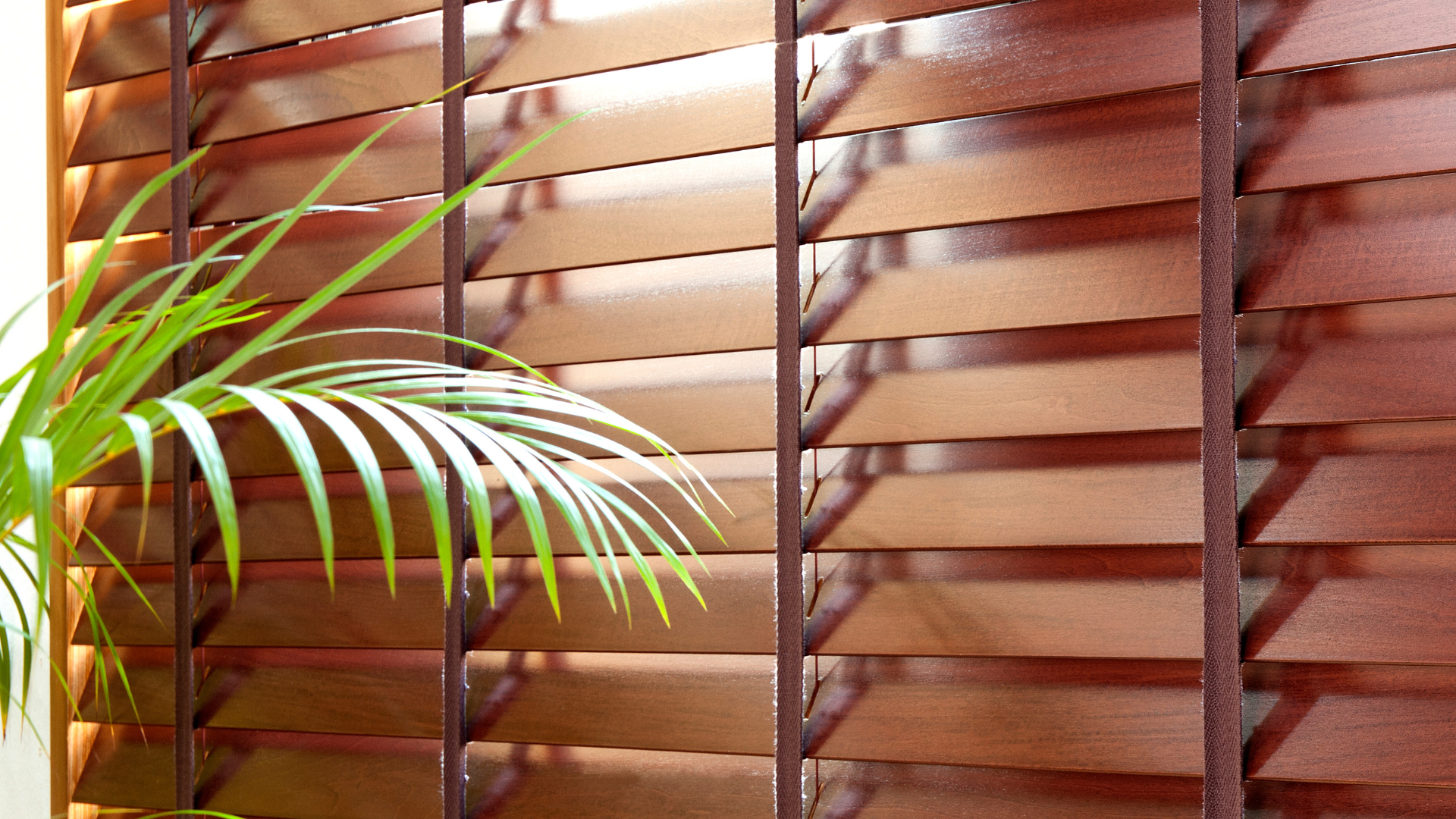 Indoor Blinds and Shutters Hoedspruit