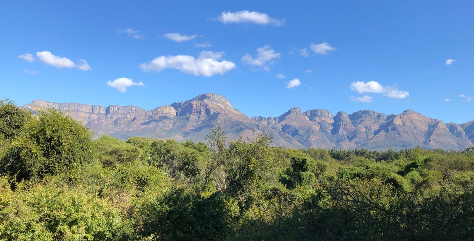 A view of a mountain range with trees in the foreground and mountains in the background.