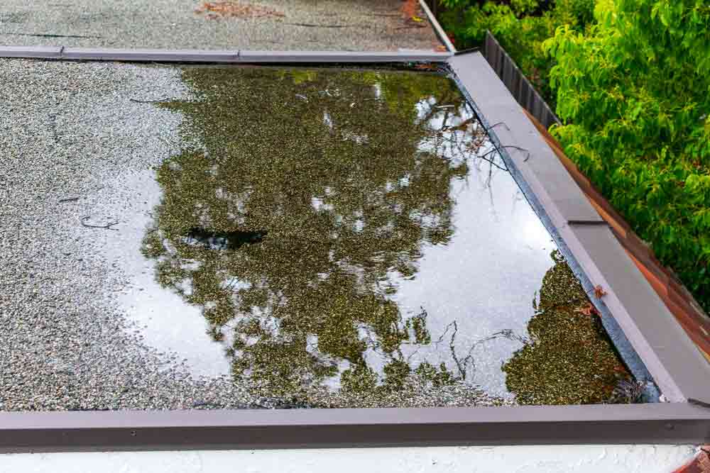 Standing Water On A Flat Roof After Heavy Rain