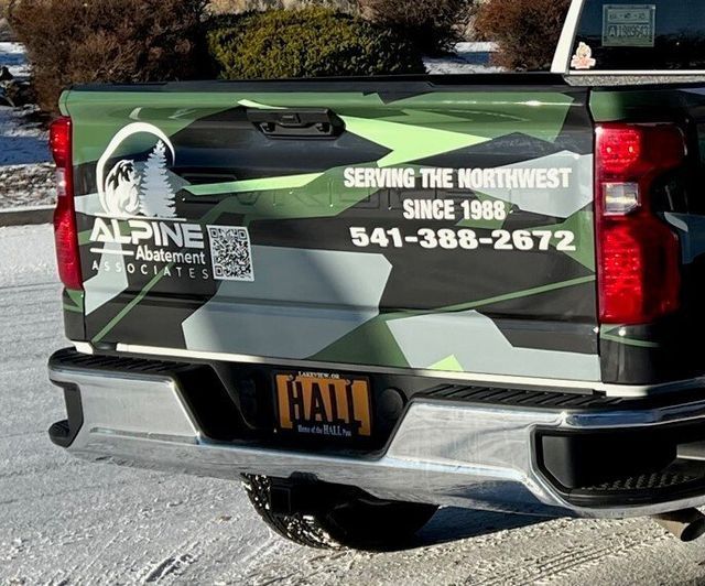 The back of a truck with alpine written on it