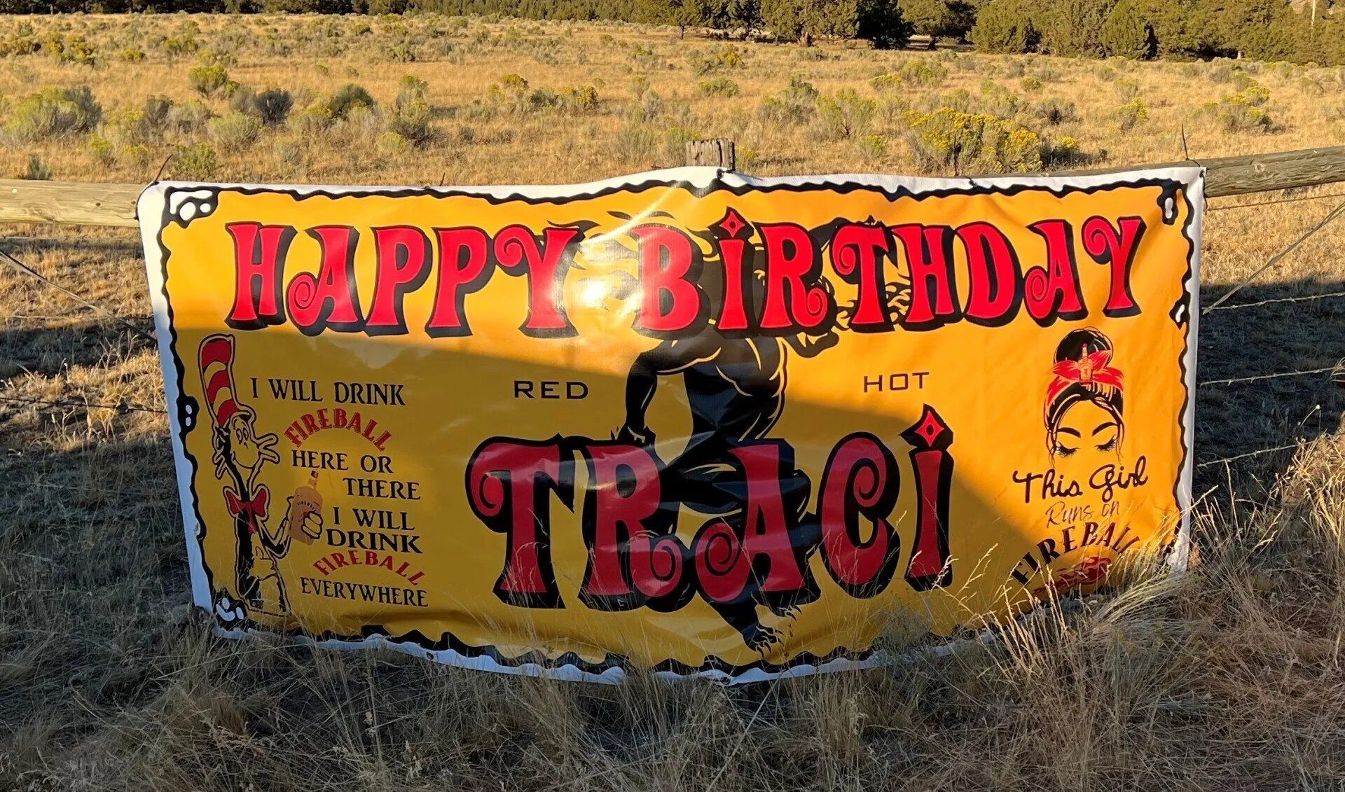 A yellow sign that says happy birthday traci