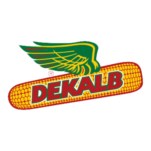 a dekalb logo with a green wing on top of a corn cob