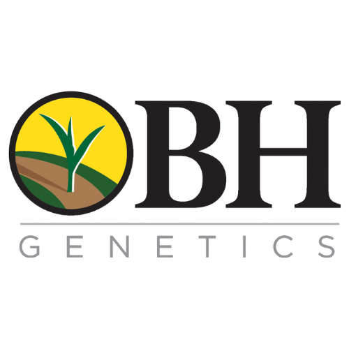 the logo for bh genetics shows a plant growing out of the ground .