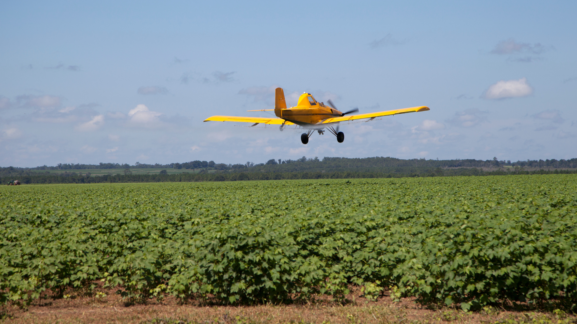 a yellow plane is flying over a green field .