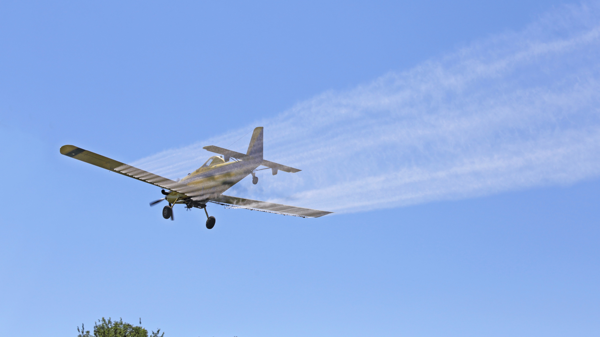 a yellow and blue plane is flying over a field .