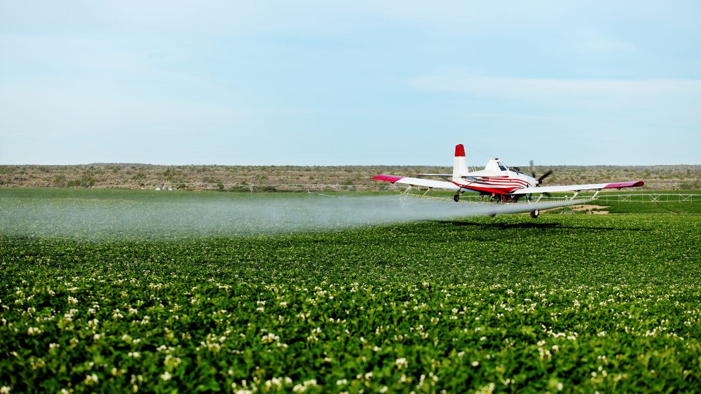 a small plane is spraying a field of plants .
