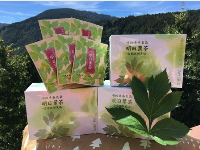 明日葉茶