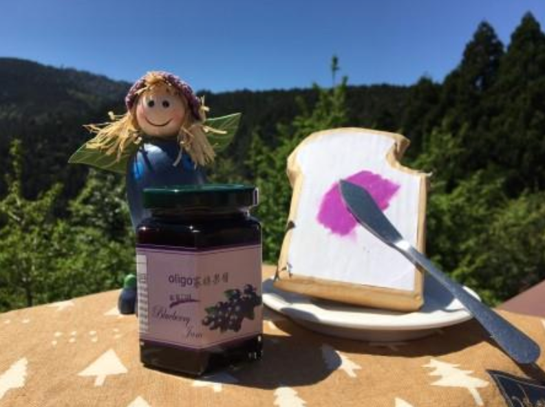 寡糖藍莓果醬