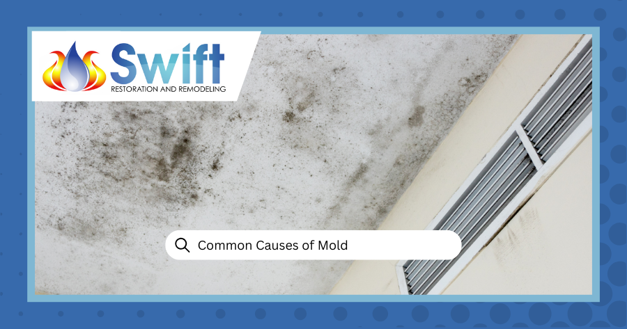 Common Causes of Mold