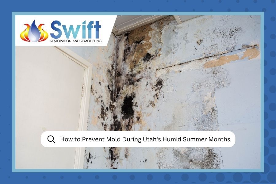 Swift banner showing mold on an interior wall with a “How to Prevent Mold During Utah’s Humid Summer Months” search bar